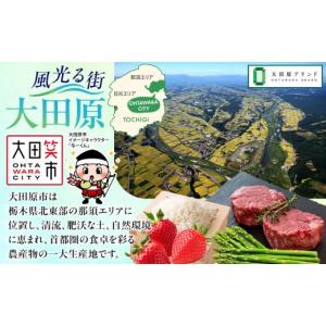ふるさと納税 TV・オーディオ・カメラ 栃木県...の詳細画像2