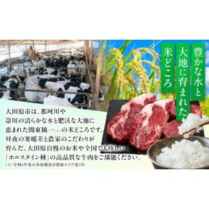 ふるさと納税 TV・オーディオ・カメラ 栃木県...の詳細画像3