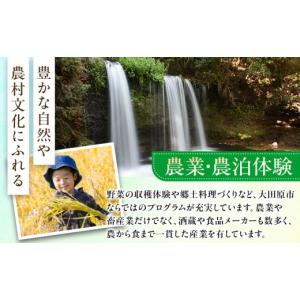 ふるさと納税 TV・オーディオ・カメラ 栃木県...の詳細画像4
