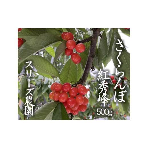 ふるさと納税 山梨県 甲州市 さくらんぼ（紅秀峰）バラ詰め500g【2024年発送】（CRS）B-8...