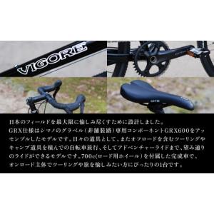 ふるさと納税 自転車 京都府 京都市 VIGO...の詳細画像3