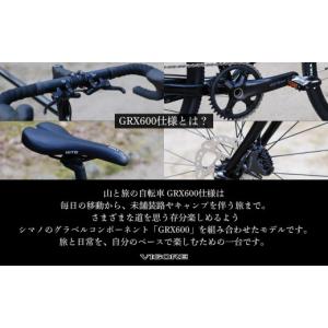 ふるさと納税 自転車 京都府 京都市 VIGO...の詳細画像3