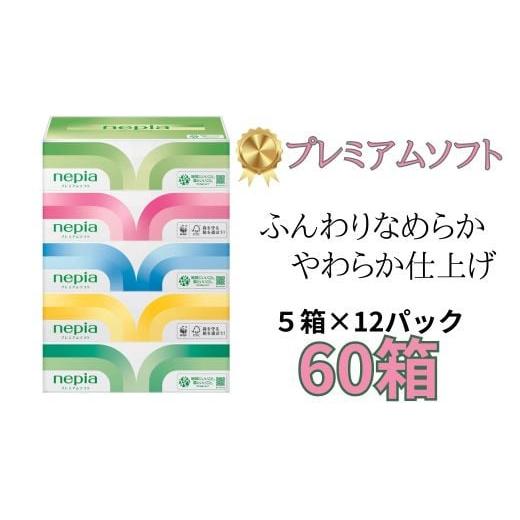 ふるさと納税 愛知県 春日井市 ネピアプレミアムソフトティシュ５箱×12パック