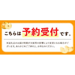 ふるさと納税 梨 熊本県 荒尾市 2026年先...の詳細画像2