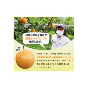 ふるさと納税 梨 熊本県 荒尾市 2026年先...の詳細画像4