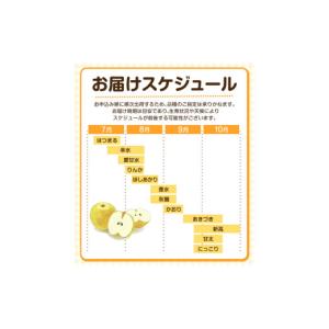 ふるさと納税 梨 熊本県 荒尾市 2026年先...の詳細画像5