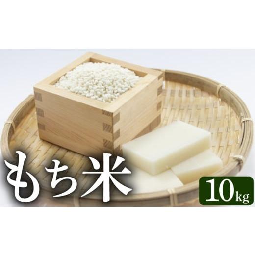 ふるさと納税 もち米・餅 高知県 安芸市 もち米 10kg 10kg