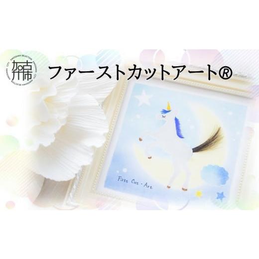 ふるさと納税 兵庫県 加古川市 ファーストカットアート?《 ファーストカット 赤ちゃん 髪の毛 記念...