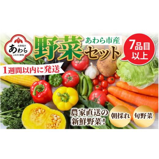 ふるさと納税 福井県 あわら市 【1週間以内に発送！】農家直送 旬の野菜セット 7品目以上 1箱