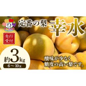 ふるさと納税 梨 福島県 白河市 先行予約 定番の梨 幸水 約3kg（6〜10玉） F21R-882