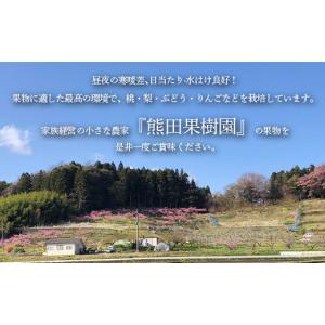 ふるさと納税 梨 福島県 白河市 先行予約 定...の詳細画像3