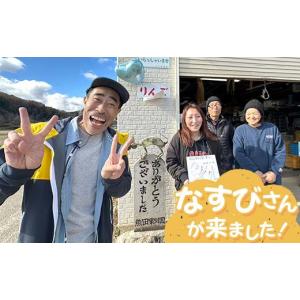 ふるさと納税 梨 福島県 白河市 先行予約 定...の詳細画像4