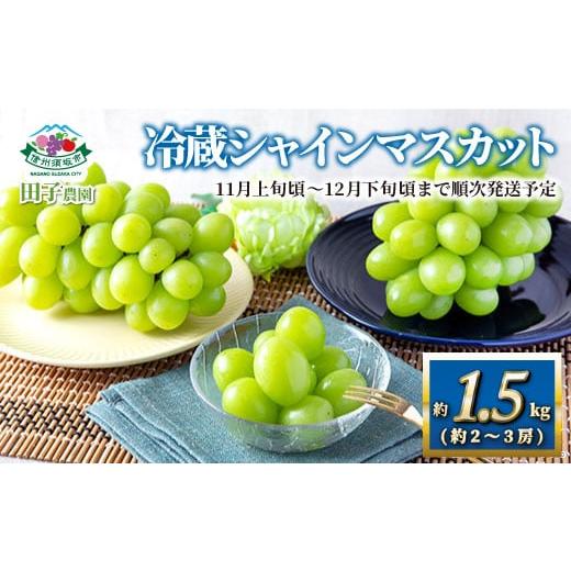 ふるさと納税 長野県 須坂市 [No.5657-3557]冷蔵 シャインマスカット 約1.5kg（約...