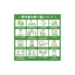 ふるさと納税 スポーツ・アウトドア 大阪府 河...の詳細画像4