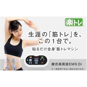 ふるさと納税 美容・健康家電 大分県 国東市 お腹だけじゃない 貼るだけ筋トレEMS 複合高周波EMS Di（ディーアイ） 楽トレ _2167R-1 本体のみ