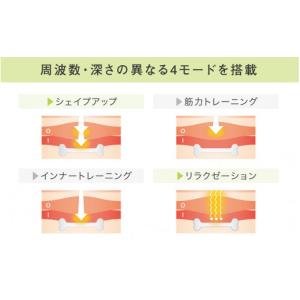 ふるさと納税 美容・健康家電 大分県 国東市 ...の詳細画像3