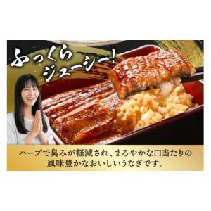 ふるさと納税 うなぎ 宮崎県 日向市 うなぎ ...の詳細画像3