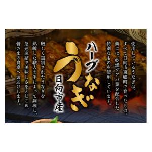 ふるさと納税 うなぎ 宮崎県 日向市 うなぎ ...の詳細画像4