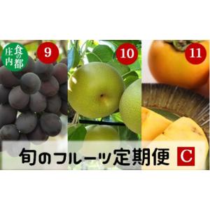 ふるさと納税 果物類 ぶどう 山形県 三川町 食の都庄内　《9・10・11月お届け-C》旬のフルーツの3ヶ月定期便
