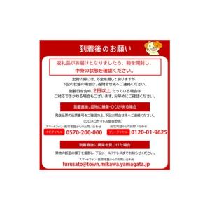 ふるさと納税 果物類 ぶどう 山形県 三川町 ...の詳細画像5