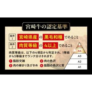 ふるさと納税 牛肉 ステーキ 宮崎県 都城市 ...の詳細画像4