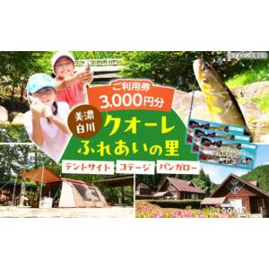 ふるさと納税 宿泊券 旅館・民宿 岐阜県 白川町...の商品画像