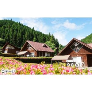 ふるさと納税 宿泊券 旅館・民宿 岐阜県 白川...の詳細画像4