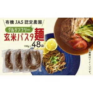 ふるさと納税 パスタ 生・半生めん 高知県 南国市 有機グアバ農園のグルテンフリー玄米パスタ麺 100g×48袋セット グルテン フリー ダイエット 健康 食品 人気…
