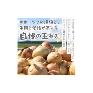ふるさと納税 野菜類 玉ねぎ 北海道 北見市 ...の詳細画像4