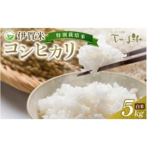 ふるさと納税 日本酒 純米大吟醸酒 山形県 南陽市 山形の極み 東の麓