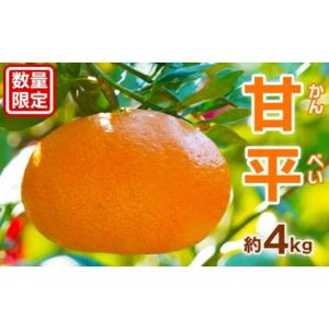 ふるさと納税 果物類 みかん 愛媛県 愛南町 数量限定 好岡さんちの 訳あり 甘平５kg 愛媛県 愛南町 発送期間: 2月上旬〜3月下旬(なくなり次第終了) 柑橘 みか…