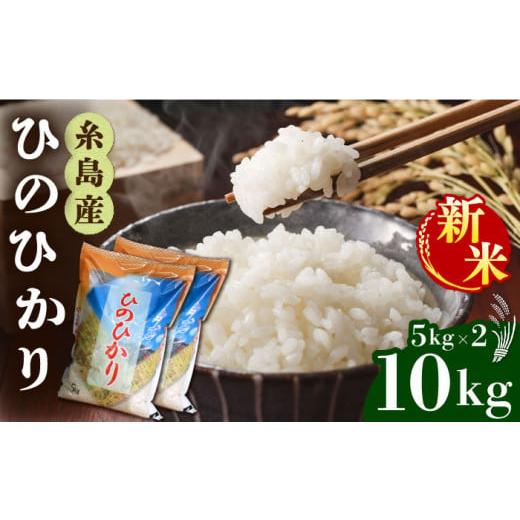 ふるさと納税 福岡県 糸島市 ＼ 令和5年産 ／ 糸島産 ひのひかり 10kg 糸島市 ／ 三島商店...