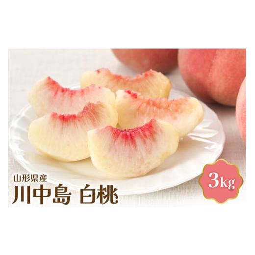 ふるさと納税 もも 山形県 河北町  令和8年産 川中島白桃 3kg JAさがえ西村山 山形県産 白...