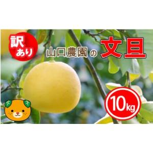 ふるさと納税 みかん・柑橘類 愛媛県 愛南町 ...の詳細画像1