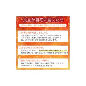 ふるさと納税 みかん・柑橘類 愛媛県 愛南町 ...の詳細画像4