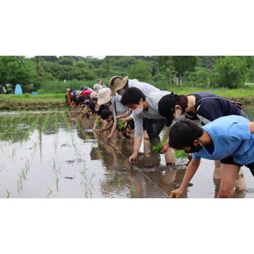 5月18日 イベント 埼玉