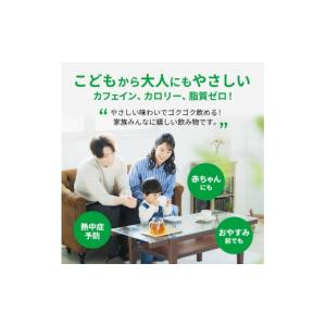 ふるさと納税 お茶類 神奈川県 綾瀬市 麦茶 ...の詳細画像4