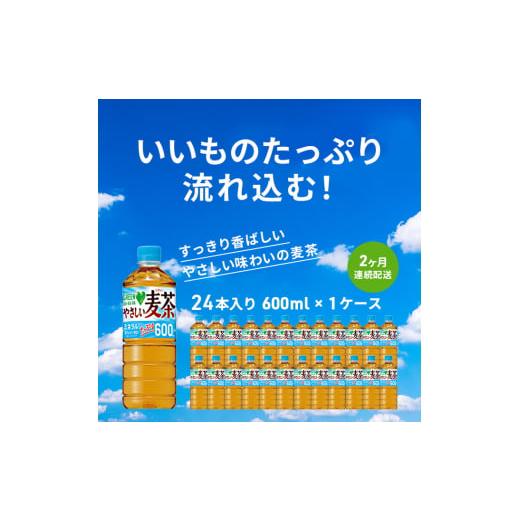 ふるさと納税 神奈川県 綾瀬市 麦茶 定期便 2ヶ月 GREEN DA・KA・RA やさしい麦茶 6...