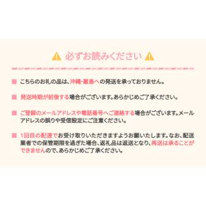 ふるさと納税 りんご 山形県 村山市 先行予約...の詳細画像2