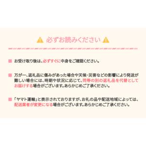 ふるさと納税 りんご 山形県 村山市 先行予約...の詳細画像3