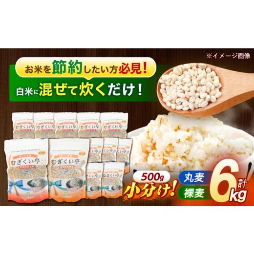 ふるさと納税 雑穀 長崎県 諫早市  諫早市市制施行20周年特別企画 むぎくい亭 (丸麦500g×6...