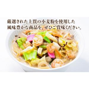 ふるさと納税 麺類 長崎県 波佐見町 全12回...の詳細画像2