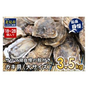 ふるさと納税 北海道 北見市 サロマ湖自慢の殻付きカキ貝