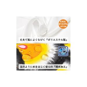 ふるさと納税 民芸品・工芸品 埼玉県 鴻巣市 ...の詳細画像2