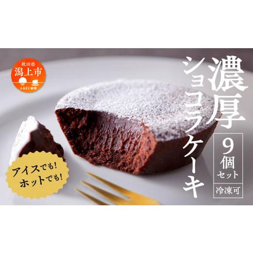 ふるさと納税 秋田県 潟上市 濃厚ショコラケーキ 9個セット