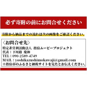 ふるさと納税 体験チケット 鹿児島県 指宿市 ...の詳細画像2