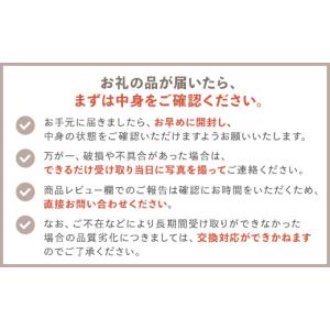 ふるさと納税 体験チケット 鹿児島県 指宿市 ...の詳細画像5