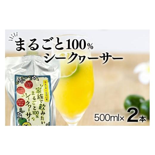 ふるさと納税 沖縄県 糸満市 家族で飲みたいまるごと100％シークヮーサー500ml×2本(パウチタ...