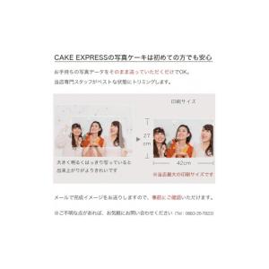 ふるさと納税 ケーキ・カステラ 徳島県 阿波市...の詳細画像5