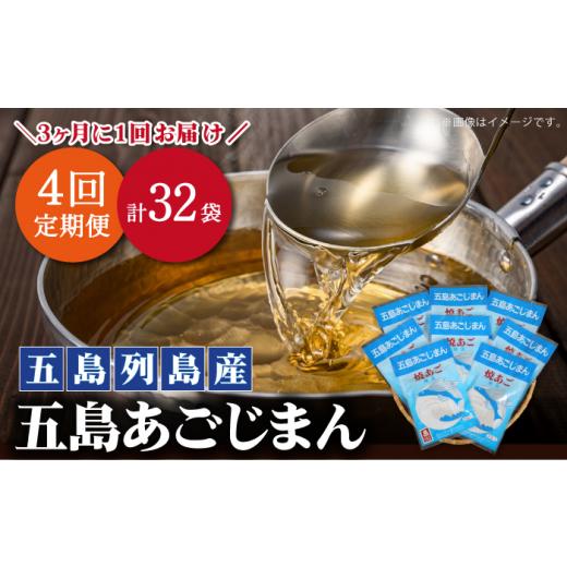 ふるさと納税 魚貝類 長崎県 新上五島町  年4回定期便 3ヶ月に1回お届け パック式 五島あごじま...